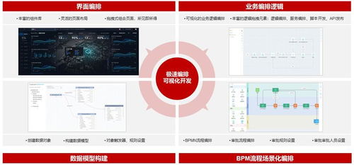 应用开发专家一席谈 开发低代码,上手低门槛,appcube使能citizen developer,人人都是开发者